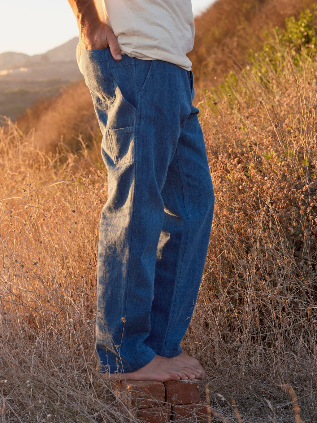Pinnacle Pants