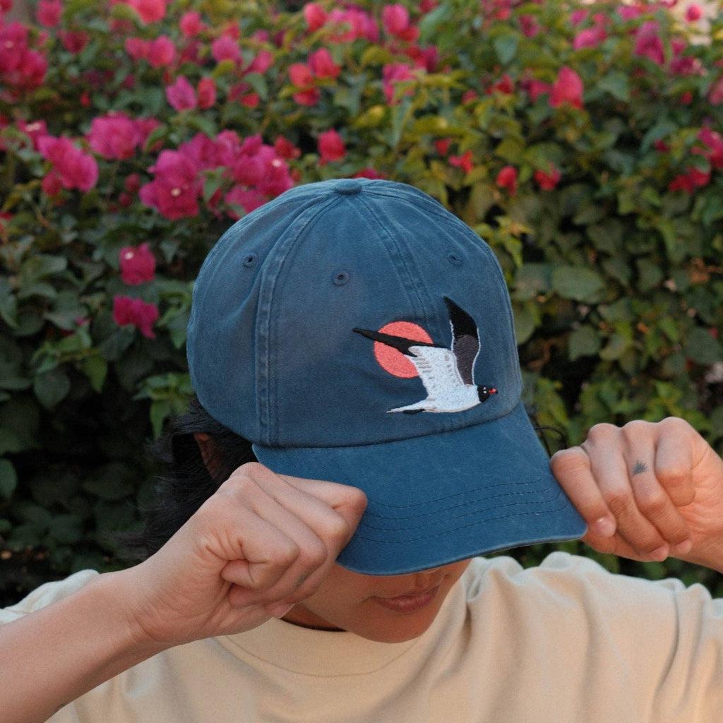 Laughing Gull Hat