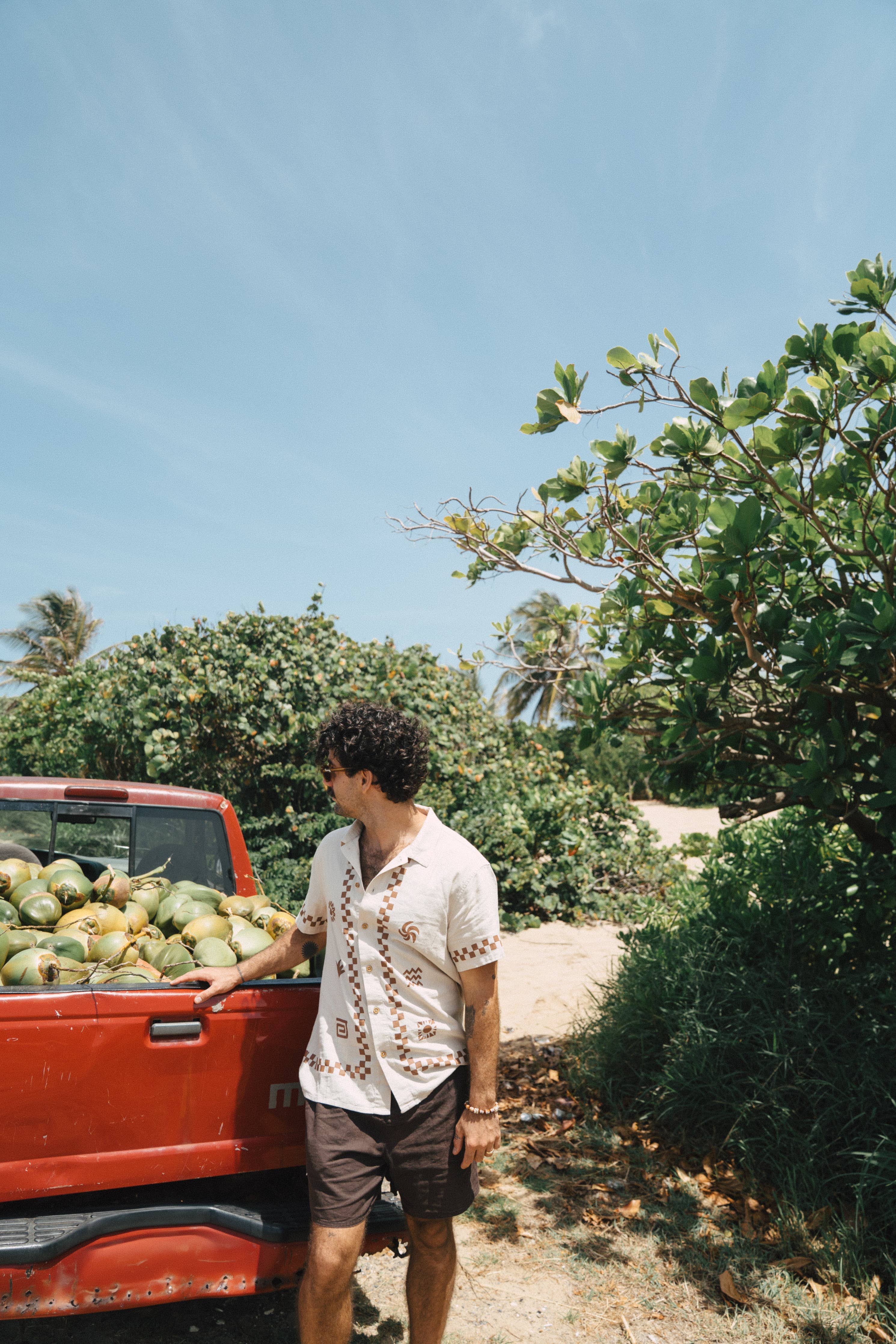 Casa Linen Shorts