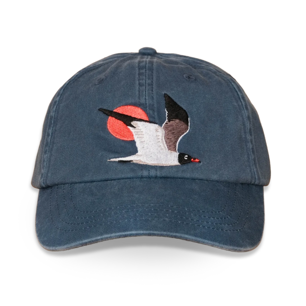 Laughing Gull Hat